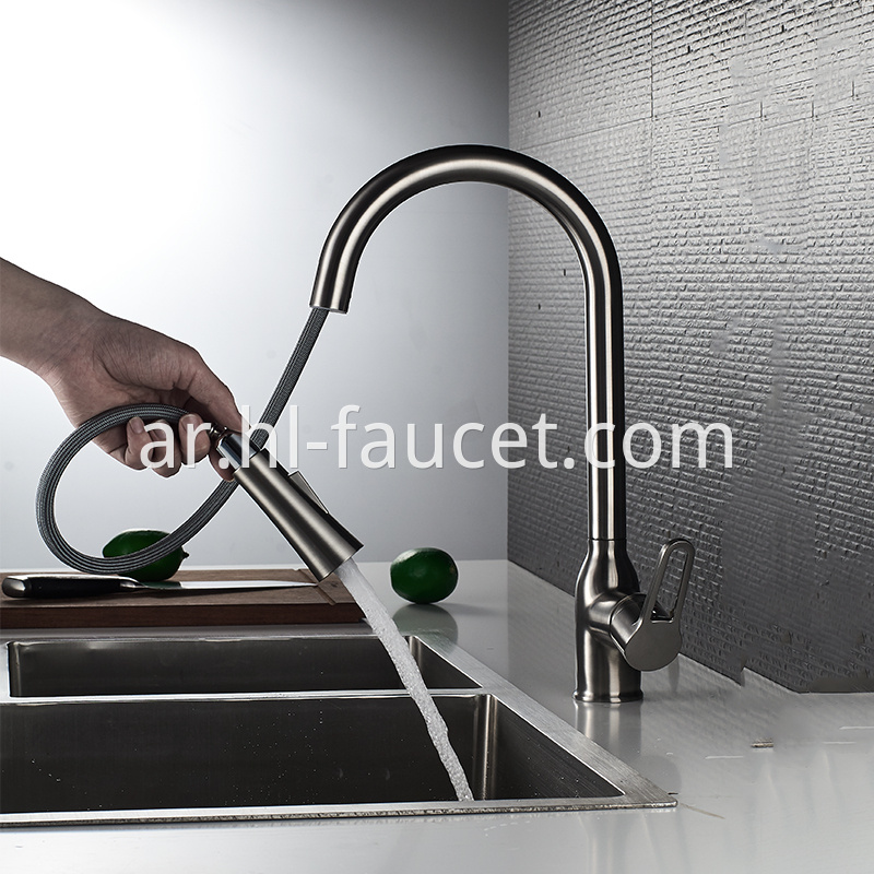 Brushed Nickel Kitchen Faucet